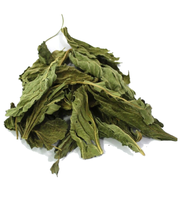 Molokhia