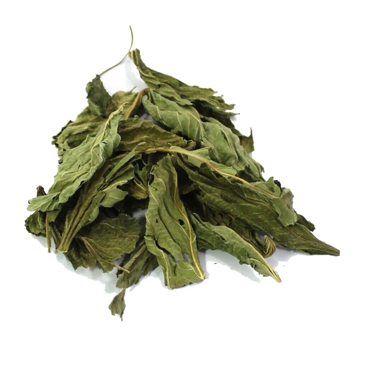 Molokhia
