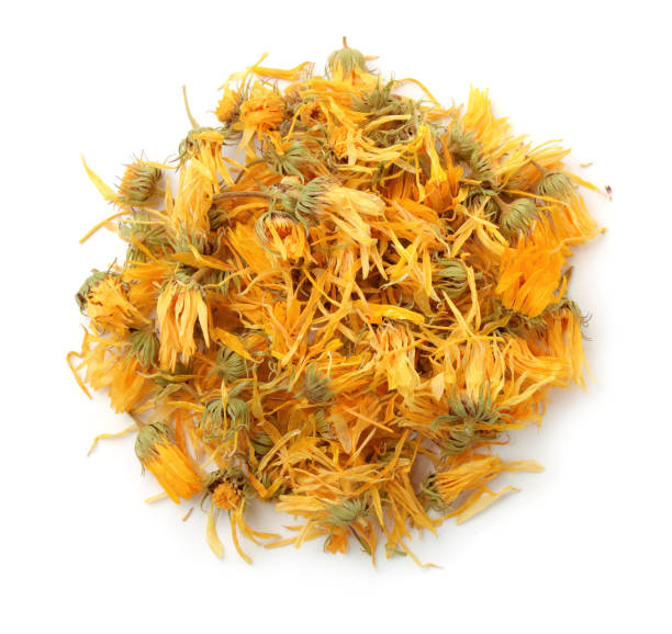 Calendula