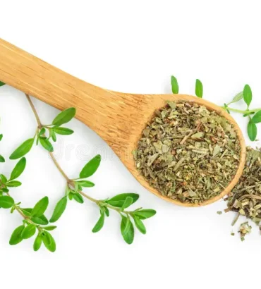Marjoram