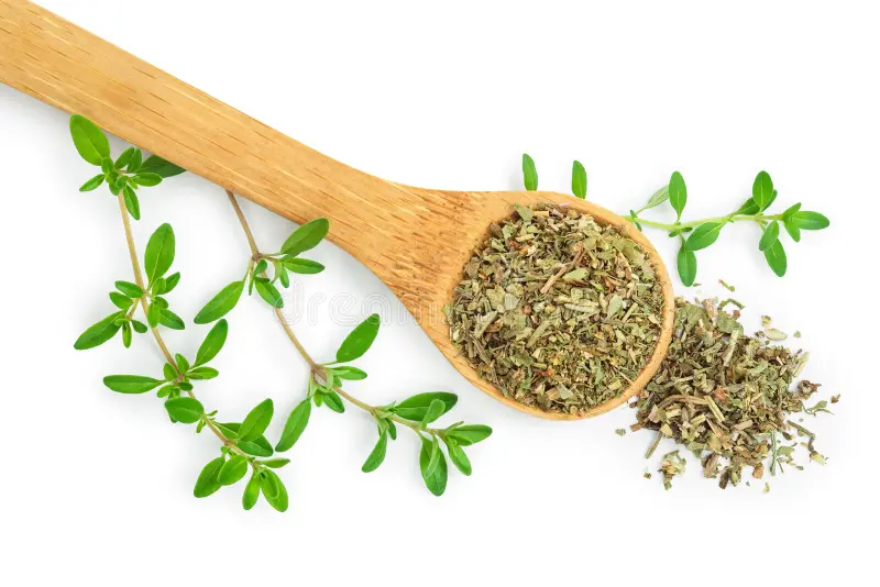 Marjoram