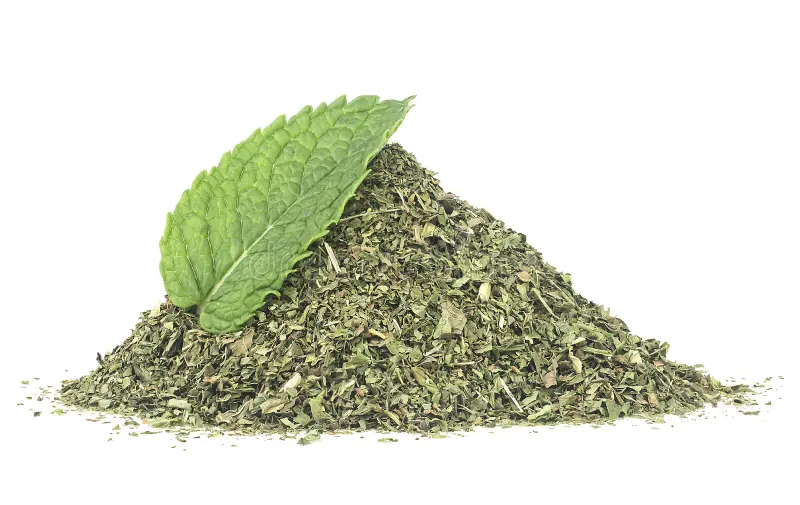 Spearmint